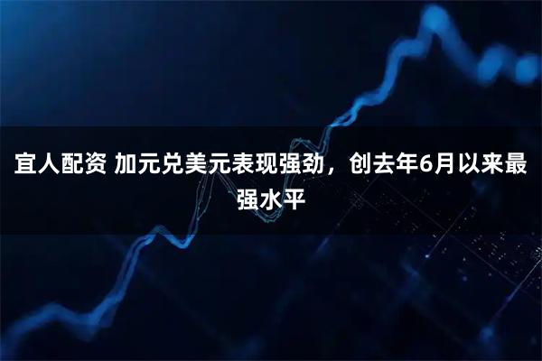 宜人配资 加元兑美元表现强劲，创去年6月以来最强水平